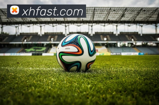 新航娱乐官网平台生态图